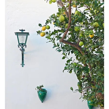 Guest house La